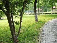 -丰台花园