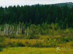 -塞罕坝国家级自然保护区