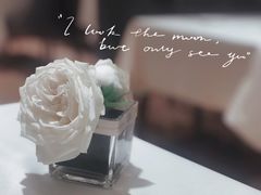 -COVA(平安金融中心店)