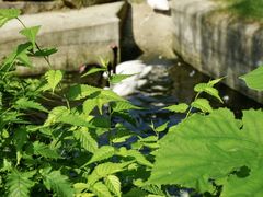 -上方山森林动物世界