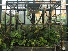 -北马山庄植趣咖啡
