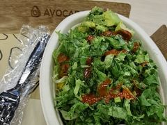 -油梨树 AVOCADO TREE(亮马桥店)