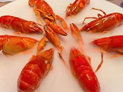 -红盔甲·小龙虾(车公庙店)