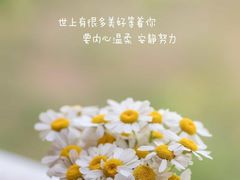 -望湘园·湖南菜(宏伊店)