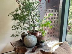 -物心空间