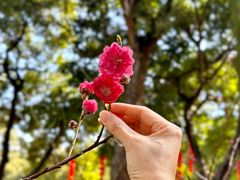 -桃花涧