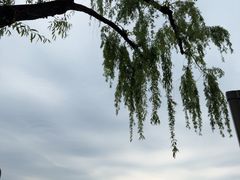 -西湖游船