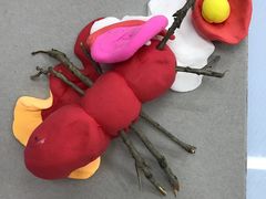 -学知乐教育·幼小衔接·小学科辅导(浦东外高桥森兰中心)