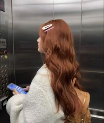 -YESIDO椰岛造型