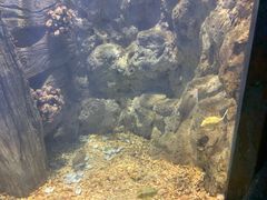 -福州罗源湾海洋世界旅游区