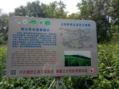 -野三坡百草畔景区