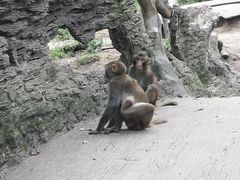 -木兰云雾山