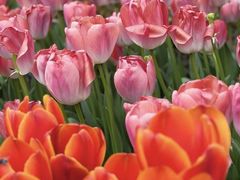 -全季酒店(重庆上清寺牛角沱地铁站店)