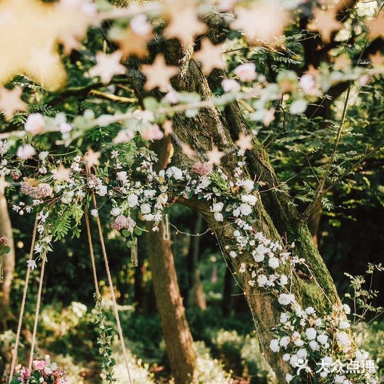 来一场爽快的草坪婚礼吧