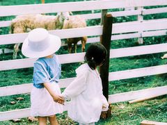 -溪口-滕头旅游景区