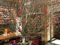 -海澄轩海鲜酒家(虎门店)