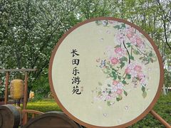-长田漾湿地公园
