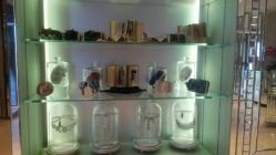 -TADASHI SHOJI(中国旗舰店)