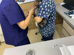 -爱侣宠医·鹦鹉专科·小型哺乳类·异宠专科(灵石路店)