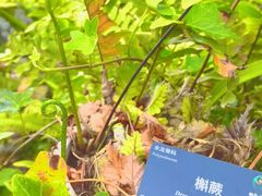 -北京植物园-展览温室