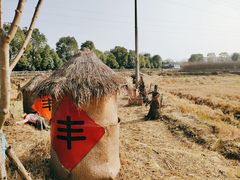 -武汉紫薇都市田园