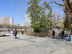 -青城公园