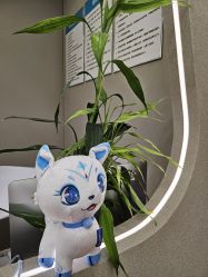 -深圳柏颜医疗美容诊所