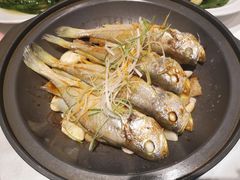 -海鸿荟·沿江菜(中山北路店)