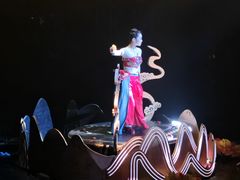 -重庆国际马戏城