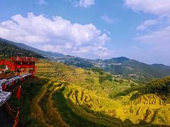 -紫鹊界梯田景区