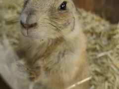 -海合安武汉极地海洋公园