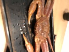 -锅物新语&寿喜烧.炉端割烹(世博源店)
