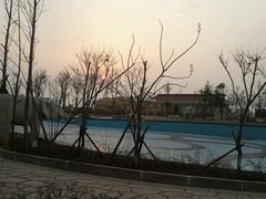 android_upload_pic-青岛海泉湾皇冠假日度假酒店