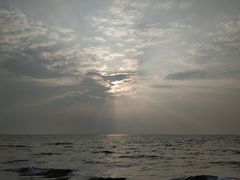 -贝壳沙滩