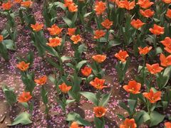 -石家庄市动物园