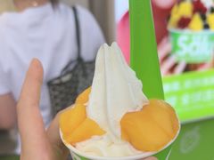 -Salud撒露欧洲冻酸奶(蓝色港湾店)
