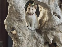 -寒山寺