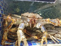 帝皇蟹-欧记·龙城港(欣都店)
