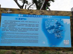 -花岙岛