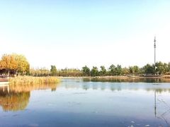 -永定河休闲森林公园