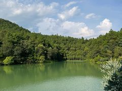 -广州白江湖森林公园