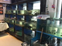 菜单-新天明砂锅鱼头煲