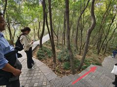 -紫金山山顶公园