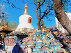 -护国法轮寺