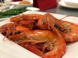 -上海瑞金洲际酒店·宴会厅