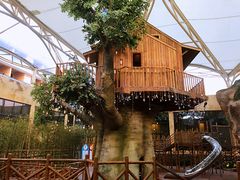 -杭州开元森泊度假乐园