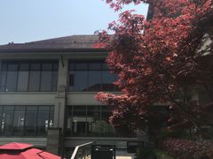 -无锡太悦度假酒店·悦餐厅