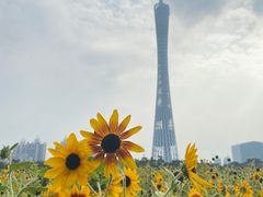 -海心沙亚运公园