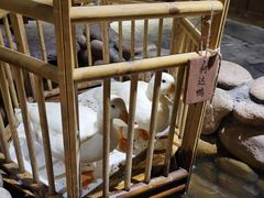 -馬蘭花開(车站大道店)