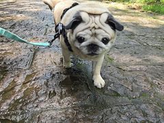 -灵栖洞天